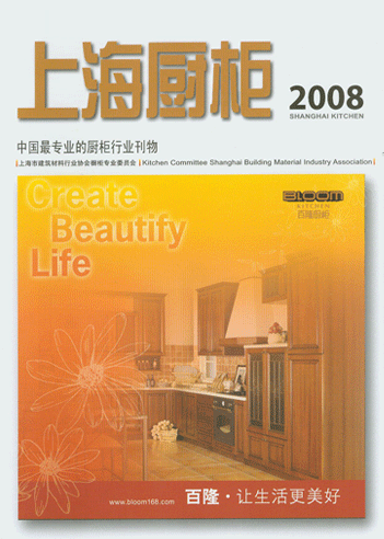 2008上海厨柜